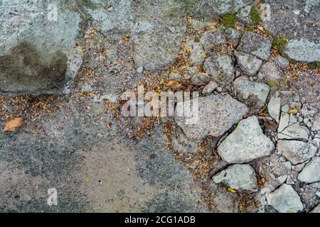 Broken road asphalt with grass and fallen dry leaves. Large piles on asphalt highway Stock Photo