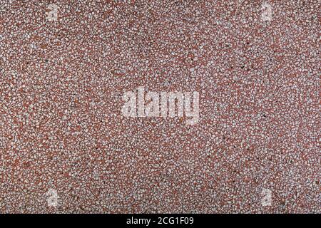 Close up wall of Red Cement with White Grit polished. image for texture and background. Stock Photo