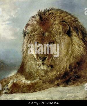 Huggins William - Resting Lion - British School - 19th  Century Stock Photo