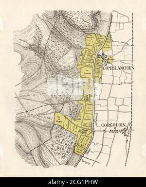 BURGUNDY BOURGOGNE VINEYARD MAP Côte de Nuits Villages Comblanchien RODIER 1948 Stock Photo