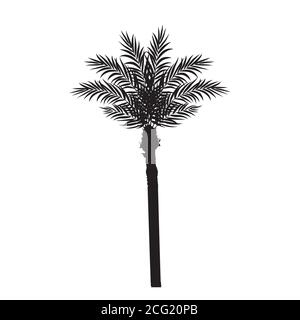 Beautiful Palm Tree Leaf Silhouette Background Vector Illustration Stock Vector
