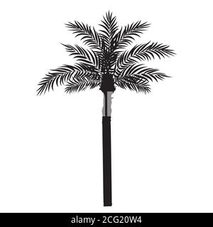 Beautiful Palm Tree Leaf Silhouette Background Vector Illustration Stock Vector