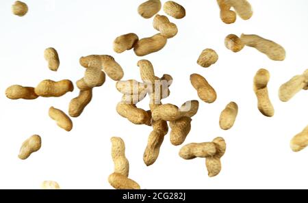 Realistic freeze motion of flying peanuts on white background. Stock Photo