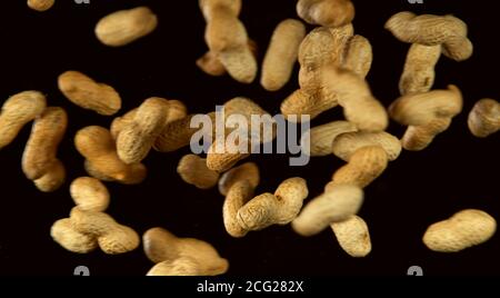 Realistic freeze motion of flying peanuts on black background. Stock Photo