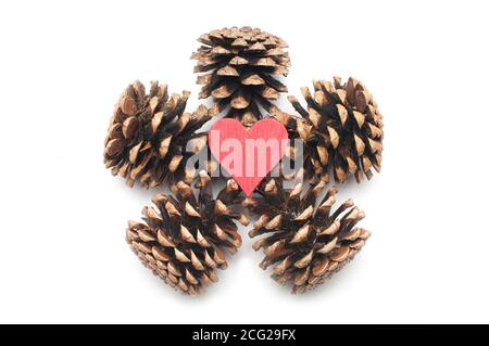 A red wooden heart in the center of a star made up of five pine cones on white background Stock Photo