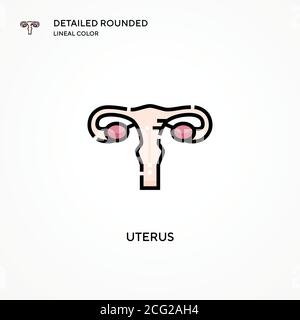 Uterus vector icon. Modern vector illustration concepts. Easy to edit and customize. Stock Vector