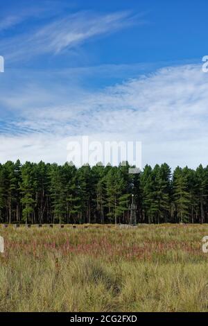 Tay Heath with its grasses, heathers and wildflowers amongst the undulating dunes with a small Communication Tower beside the line of Tank Traps. Stock Photo