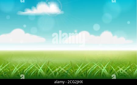 Peisage of a meadow. Green grass and blue sky with clouds. Vector Stock Vector