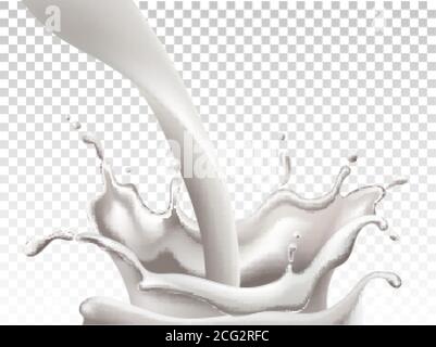 Milk pouring down and making big splashes. Realistic. Vector Stock Vector