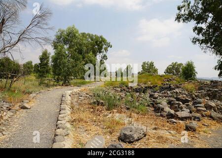 Archaeological site of the biblical city of Bethsaida, destroyed by the Assyrians in 732 BCE Sea of Galilee. Israel.  known as the birthplace of three Stock Photo