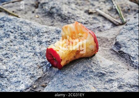 View of a bitten apple lying on the cobblestone of a street. Stock Photo