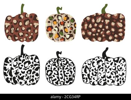 Leopard pumpkin autumn thanksgiving vector illustration. Animal print squash design. Halloween safari art Stock Vector