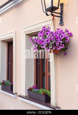 Pink flowers in a flowerpot hanging on a lantern Stock Photo