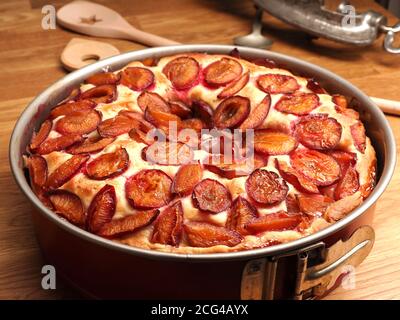 Delicious plum cake made from organic ingredients in a baking pan on a rustic kitchen table, seasonal food or healthy eating Stock Photo