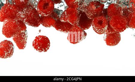 Raspberries falling into water isolated on white background Stock Photo