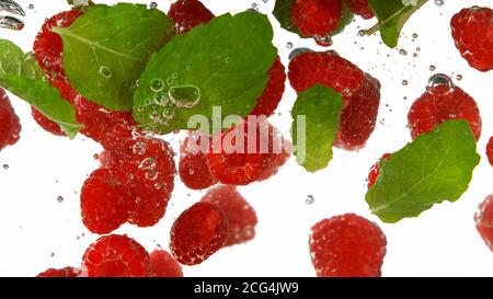 Raspberries falling into water isolated on white background Stock Photo