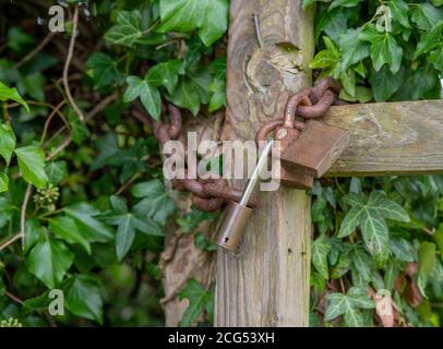 Close up of a wooden gate secured with a rusty chain and three old padlocks. Stock Photo
