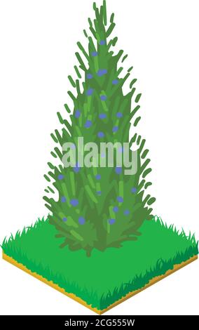 Thuja icon, isometric style Stock Vector