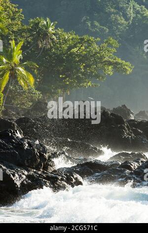 Rainforest meets Pacific Ocean - Corcovado National Park - Costa Rica Stock Photo