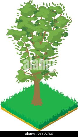 Walnut tree icon, isometric style Stock Vector