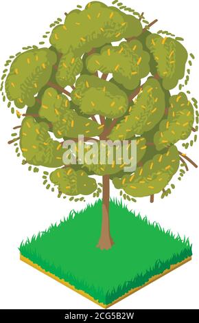 Honey locust icon, isometric style Stock Vector