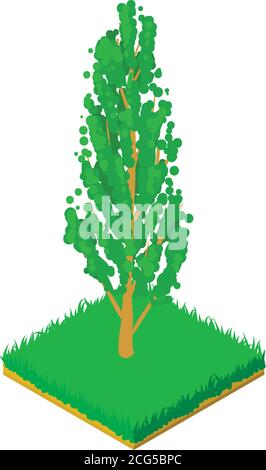 Poplar icon, isometric style Stock Vector