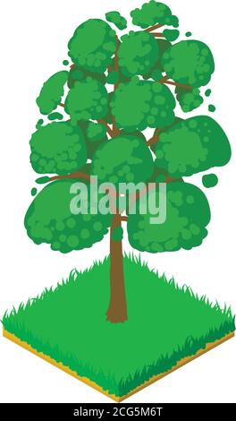 Sassafras icon, isometric style Stock Vector
