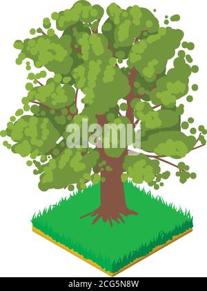 Oak icon, isometric style Stock Vector