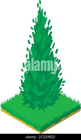 Arborvitae icon, isometric style Stock Vector