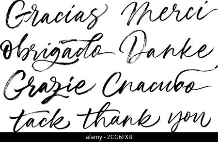 Thank you phrases in different languages.  Stock Vector