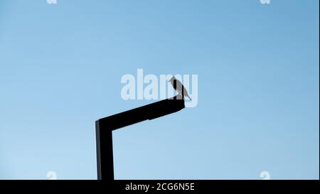 Black crow perching on a lighting pole and watching around Stock Photo