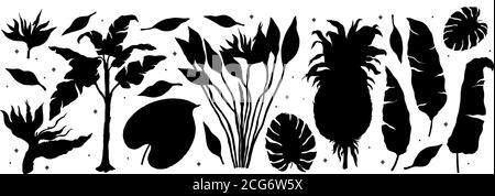 Tropical plant nature silhouette set.Line art hand drawn set. Palm tree jungle floral. Stock Vector