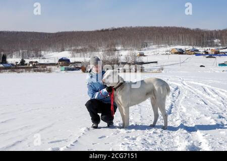 A young girl communicates with a big white shepherd dog on a snow-white frozen lake against the backdrop of the village. Stock Photo