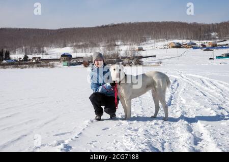 A young girl is sitting next to a big white shepherd dog on a snow-white frozen lake against the backdrop of the village. Stock Photo