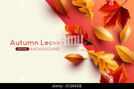 Autumn seasonal background frame with falling autumn leaves and copy space. Vector illustration Stock Vector