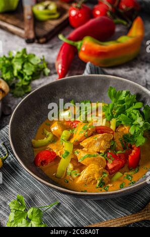 Spicy indian meal with meat, vegetable and bread Stock Photo