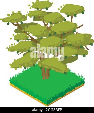 Butternut tree icon, isometric style Stock Vector