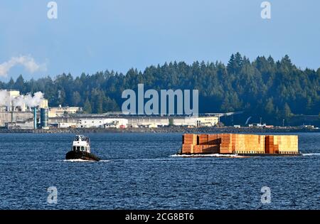 A working tug boat pulling a load of ply products across the harbour at Nanaimo on Vancouver Island British Columbia Canada. Stock Photo
