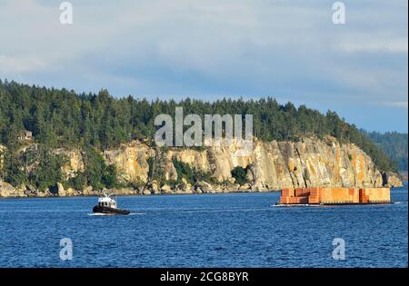 A working tug boat pulling a load of ply products across the harbour at Nanaimo on Vancouver Island British Columbia Canada. Stock Photo