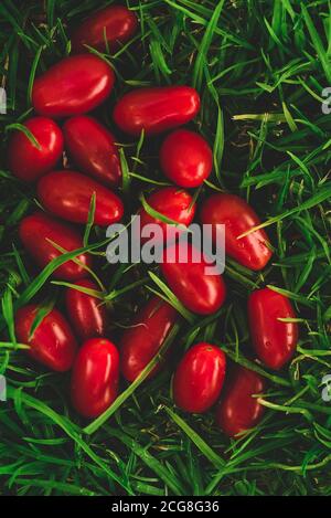 some red grape tomatoes on the grass Stock Photo