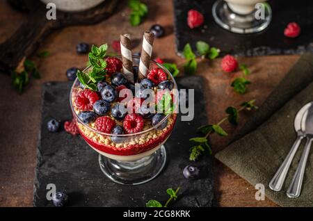 Vanilla panna cotta with berries and crunchy cookies Stock Photo