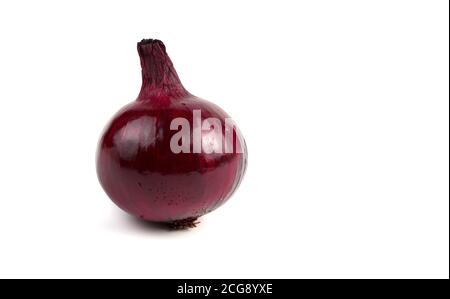Beautiful red salad onion with water drops on a white background with a place to copy. Stock Photo