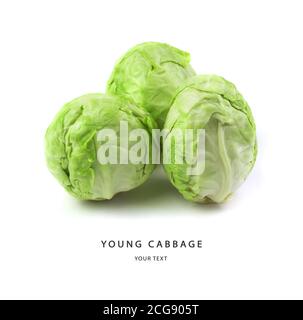 White cabbage fresh, young with water drops isolated on a white background. Stock Photo