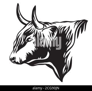 Vector of highland cow head design on white background. Farm Animal ...
