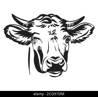 Decorative portrait of bull vector illustration in black color isolated on white background. Engraving template image for design, print and tattoo. Stock Vector