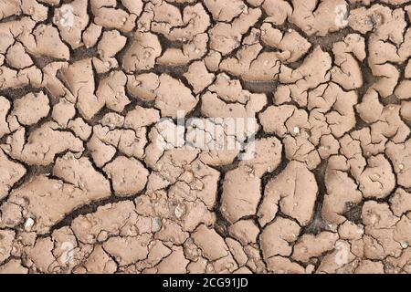 Dried slush. Texture cracked dirt. Selective focus. Macro. Stock Photo