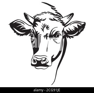 Vector illustration of horned bull head icon in black color isolated on white background. Engraving element image of cow. Design template for poster, Stock Vector