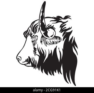 Vector illustration of Tibetan Yak in black color isolated on white background. Engraving template image of bull in profile. Design element for poster Stock Vector