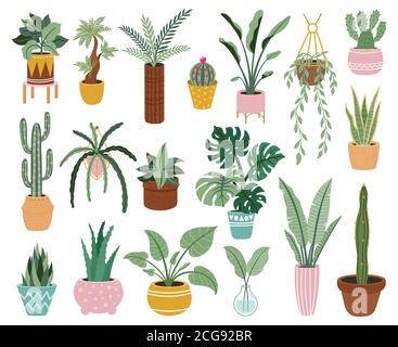 Home potted plants. Houseplants in plant pots, flower potted plant, green leaves interior decoration isolated vector illustration icons set Stock Vector