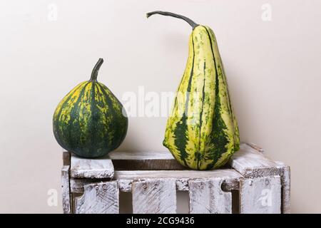 Round dark green and elongated yellow-green pumpkins stand on a white wooden box against a yellow background. Copy space. Horizontal orientation. Stock Photo